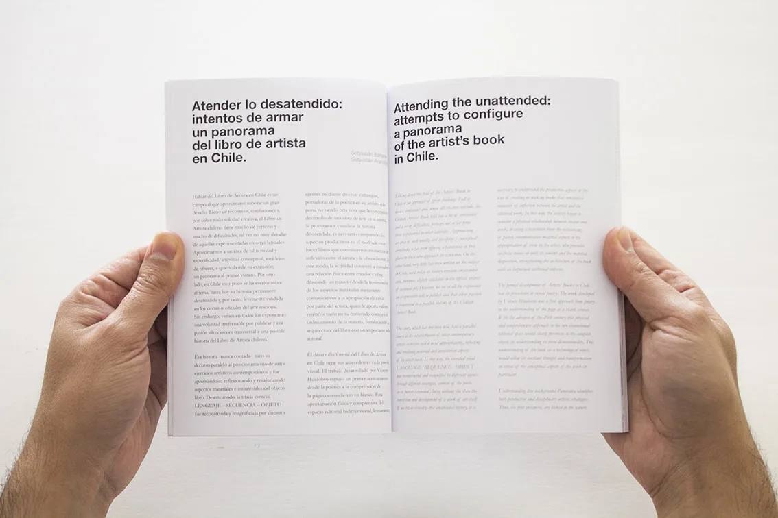 Panorama | Sebastián Barrante, Sebastián Arancibia - Imagen 3