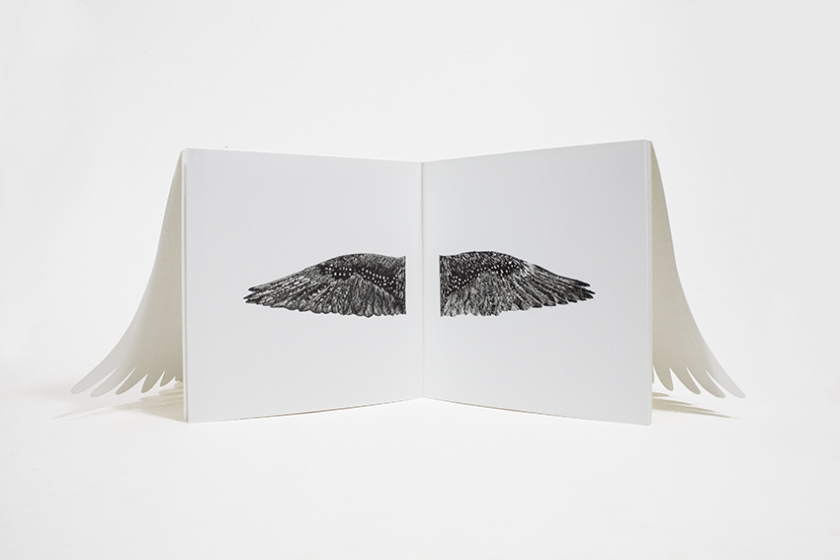 Del Viaje, el vuelo II | Javiera Pintocanales, Georgina Aspa - Imagen 2