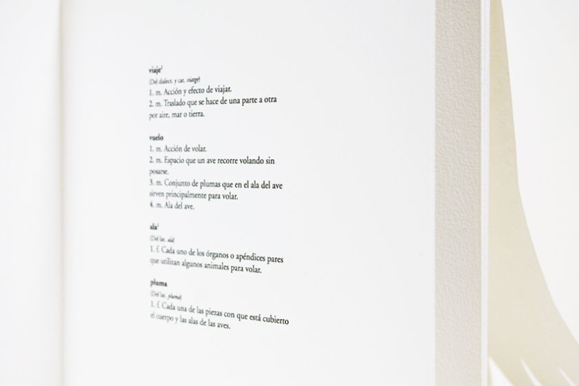 Del Viaje, el vuelo II | Javiera Pintocanales, Georgina Aspa - Imagen 3