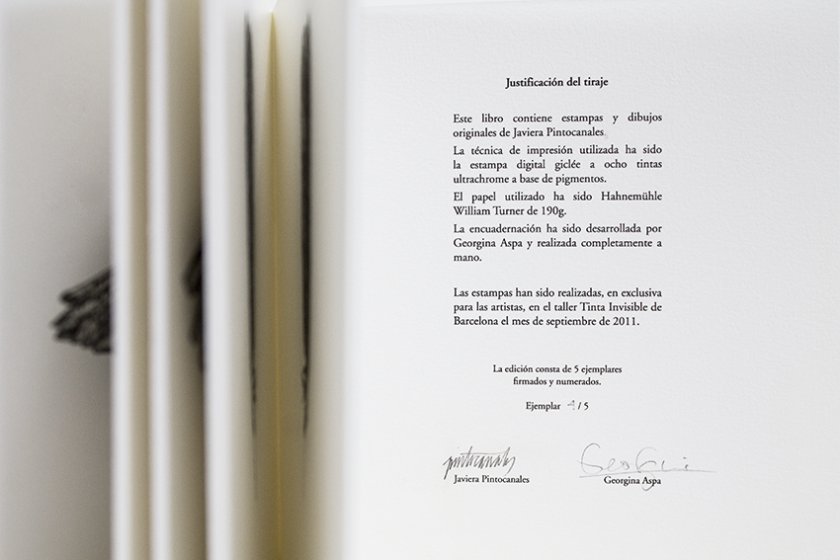 Del Viaje, el vuelo II | Javiera Pintocanales, Georgina Aspa - Imagen 6