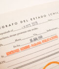 GRRR | Guillermo Deisler - Imagen 13
