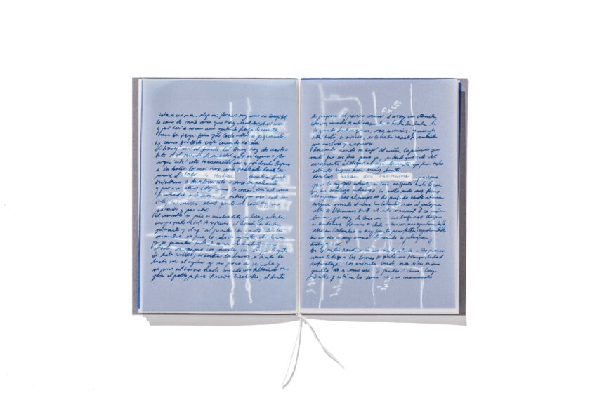Avenida Las Palomas | Francisca Aninat - Image 3