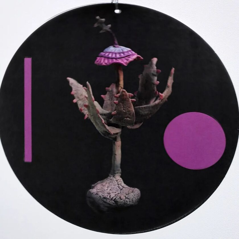 The Minga of the Birds at the Dawn | Daniel Godínez Nivón - Andrés González - Image 2