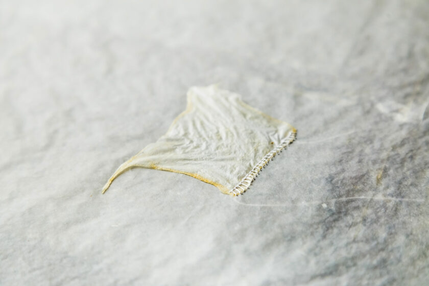 BOOK [UNTITLED] | Melanie Teresa Bohrer y Pablo Vindel - Image 7