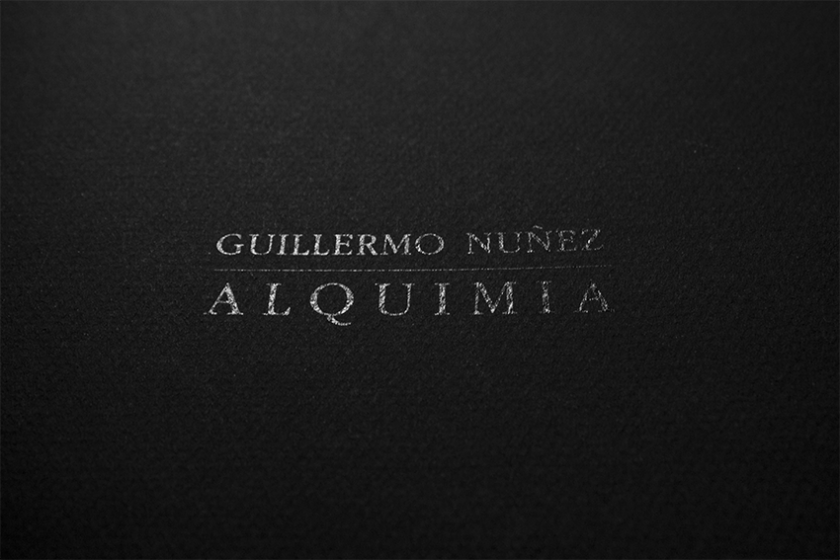 Alquimia II | Guillermo Núñez - Imagen 4