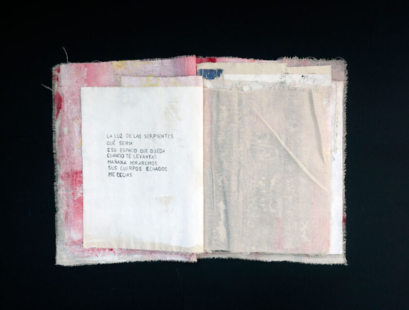 Los Reptiles | Francisca Aninat - Image 4