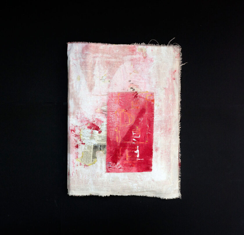 Los Reptiles | Francisca Aninat - Image 6