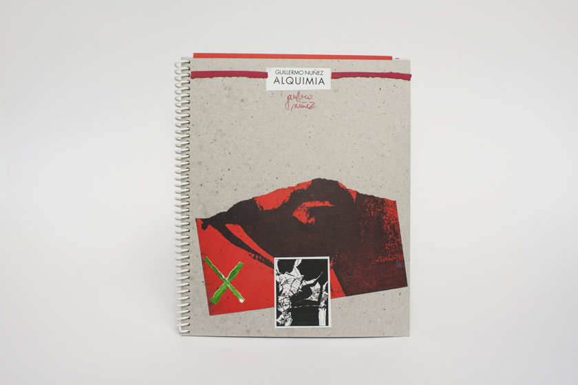 Alquimia – Intervened Version | Guillermo Núñez - Image 5