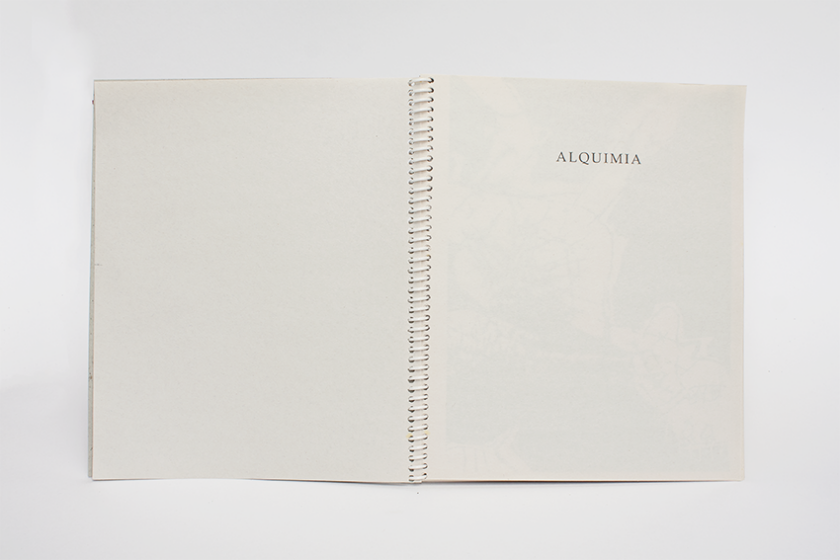 Alquimia – Intervened Version | Guillermo Núñez - Image 7