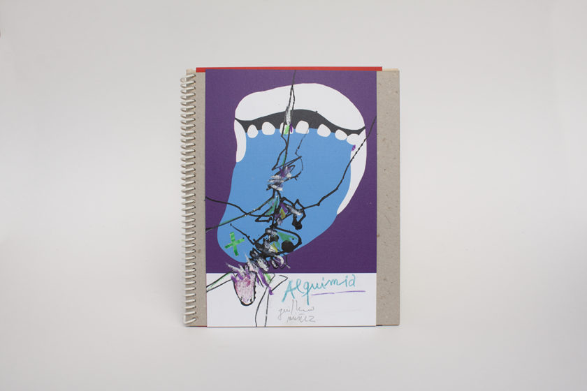 Alquimia – Intervened Version | Guillermo Núñez - Image 8