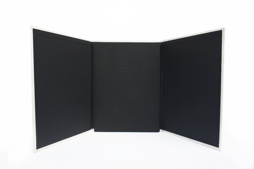 Alquimia - Luxury version | Guillermo Núñez - Image 4