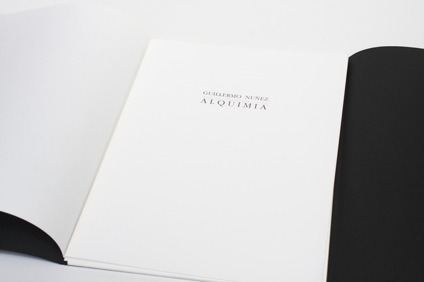 Alquimia - Luxury version | Guillermo Núñez - Image 5