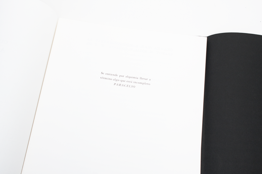 Alquimia - Luxury version | Guillermo Núñez - Image 6