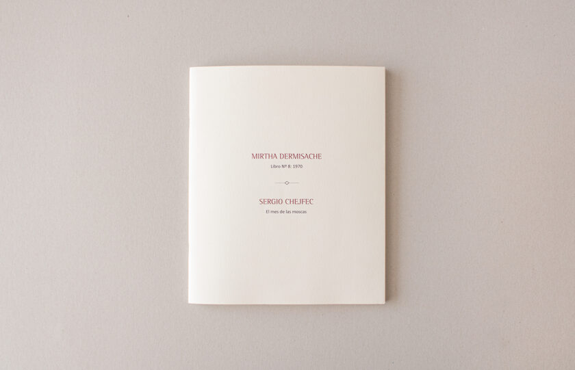 Libro Nº 8: 1970 • El mes de las moscas | Sergio Chejfec y Mirtha Dermisache - Image 5