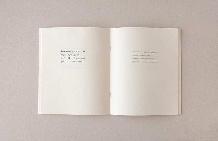 Libro Nº 8: 1970 • El mes de las moscas | Sergio Chejfec y Mirtha Dermisache - Image 3