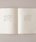 Libro Nº 8: 1970 • El mes de las moscas | Sergio Chejfec y Mirtha Dermisache - Imagen 4