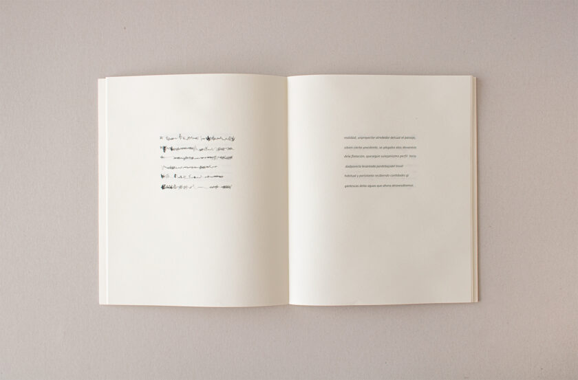 Libro Nº 8: 1970 • El mes de las moscas | Sergio Chejfec y Mirtha Dermisache - Image 4
