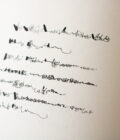 Libro Nº 8: 1970 • El mes de las moscas | Sergio Chejfec y Mirtha Dermisache - Imagen 2