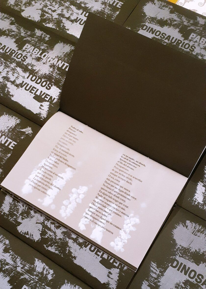 Dinosaurios / Todos vuelven | Pablo Fante - Image 6