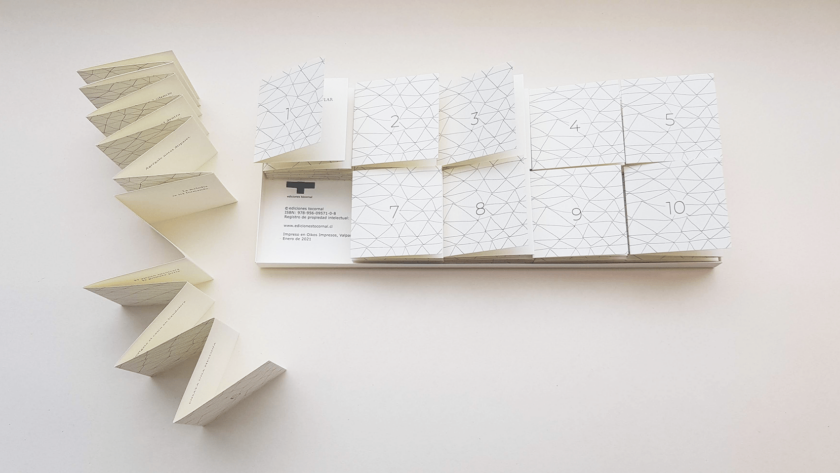 Método para encantar serpientes | Rodrigo Martínez Espinoza - Image 2