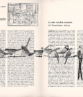 No es fácil atravesar los días, ni las páginas | Ana Lea-Plaza - Imagen 2