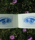 Alfonsina, el extraño caso de una confusiva | Paz Marín - Imagen 7