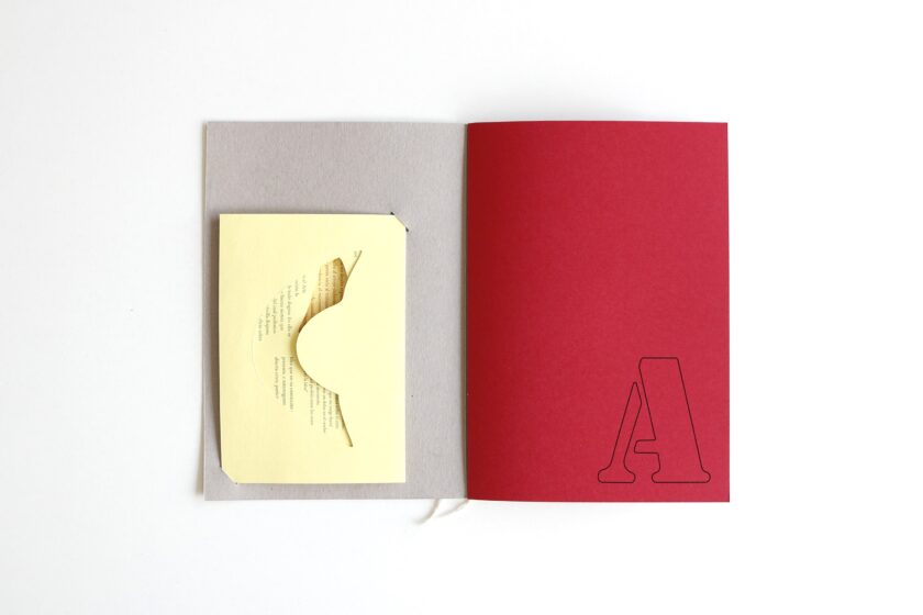 Ácratas  | Camila Estrella - Image 2