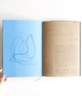 Ácratas  | Camila Estrella - Imagen 5