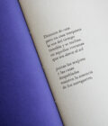 Pǝrturbación pasajera  | Mauricio Benítez Figari - Imagen 6