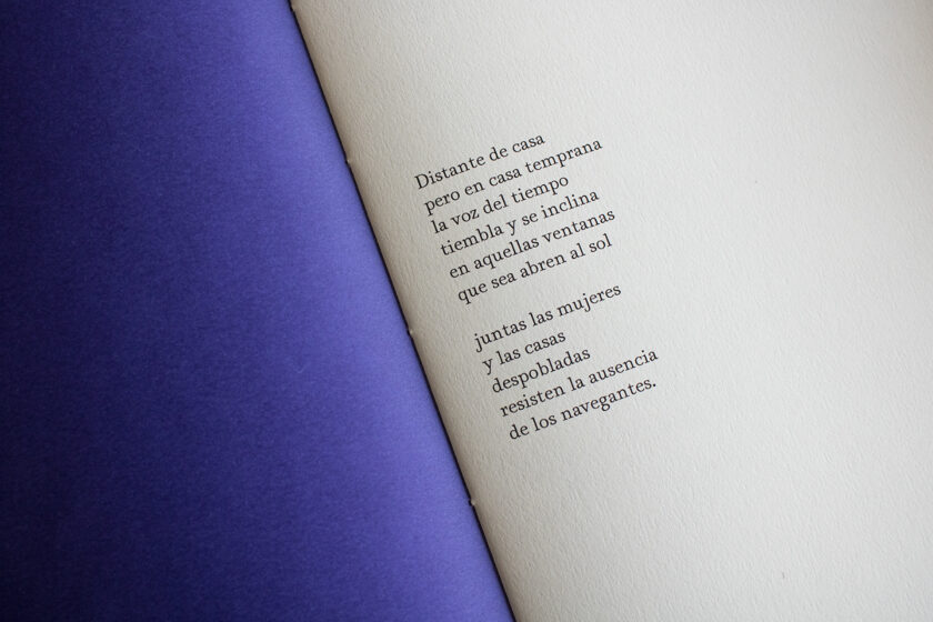 Pǝrturbación pasajera  | Mauricio Benítez Figari - Imagen 6
