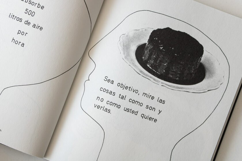 El Cerebro | Guillermo Deisler - Imagen 14