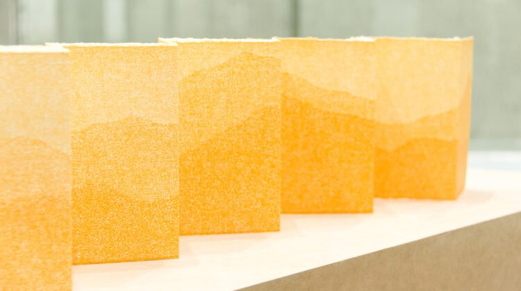 Art from afar | Naranja in Biennial CODEX 2024