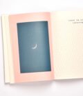 Interrupción en La Araucanía. Registro estenopeico de un eclipse | Macarena Quezada Bilbao - Imagen 9