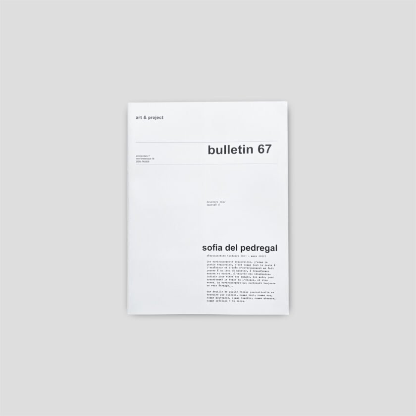 Bulletin 67 | Sofía del Pedregal