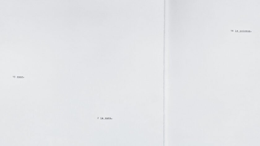 Bulletin 67 | Sofía del Pedregal - Image 3