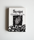 Script | Guillermo Deisler - Imagen 2