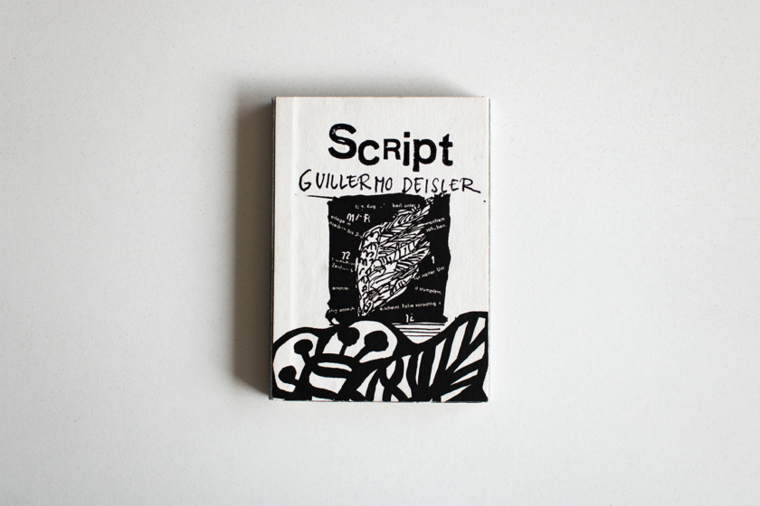 Script | Guillermo Deisler - Imagen 2