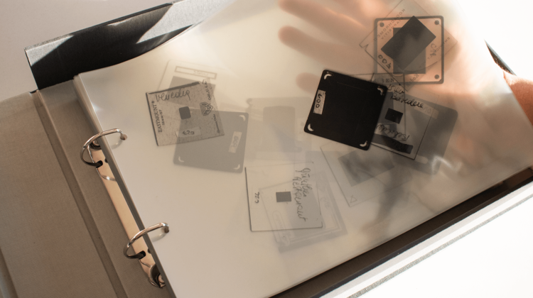 Curated Table #008: Appropriation
