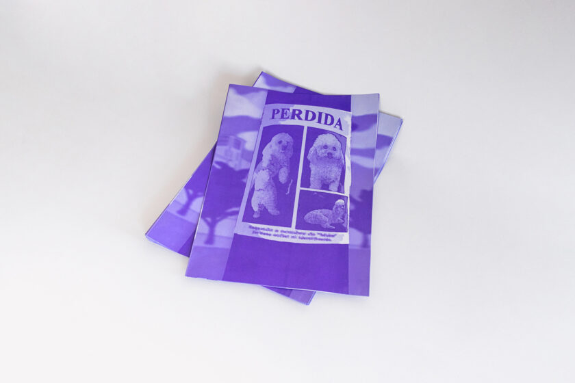 Perdida | Isabel de la Fuente - Imagen 6