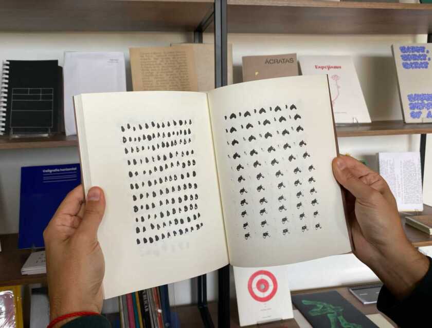 Reading Mirtha Dermisache | Regine Ehleiter, Megumi Andrade Kobayashi, Sebastián Barrante, Barbara Bausch - Imagen 8